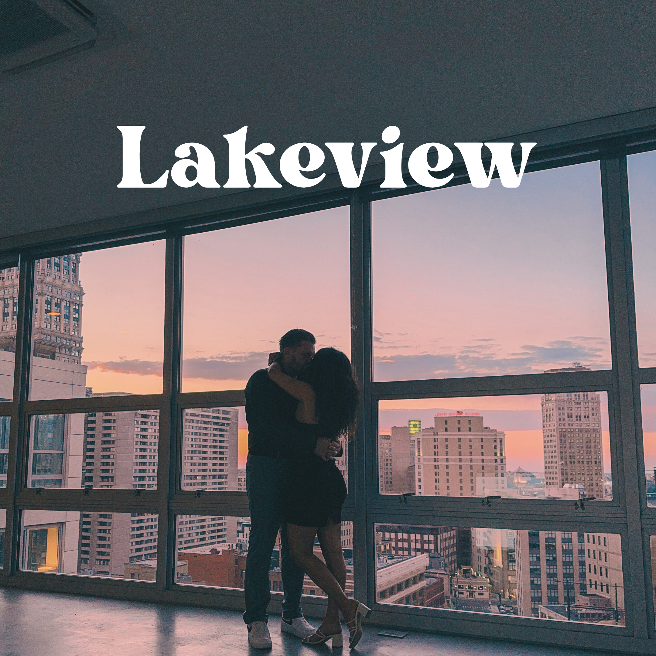 The Lakeview Series