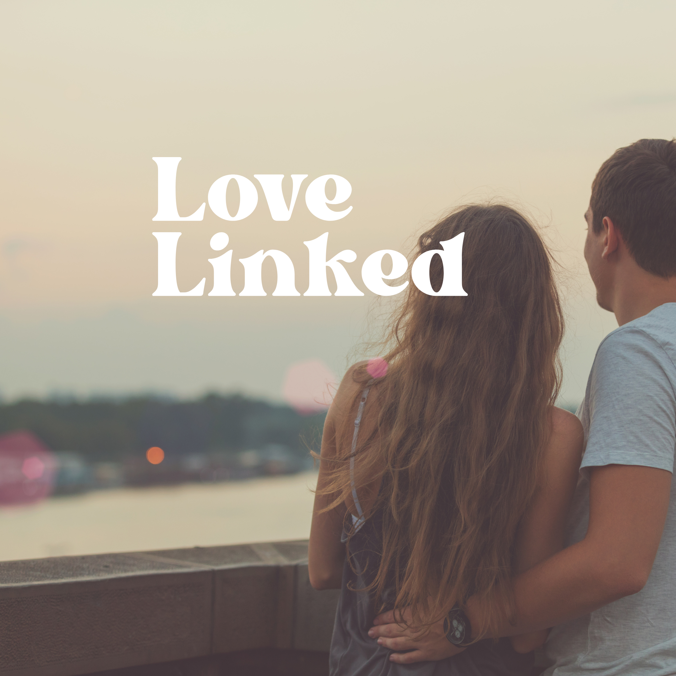 The Love Linked Series